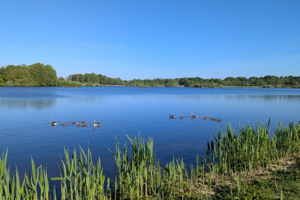 Huettensee 01